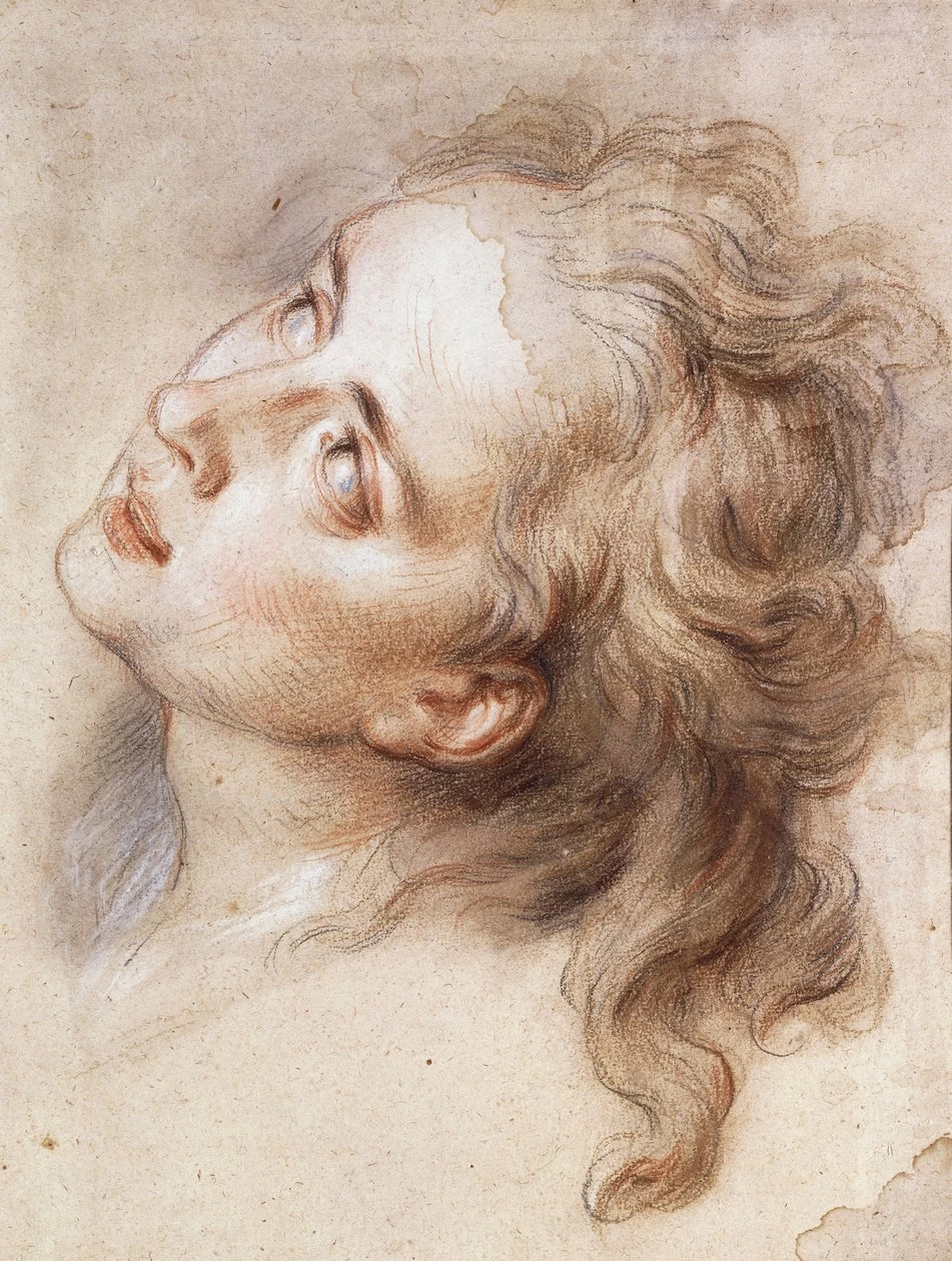 La testa di un angelo